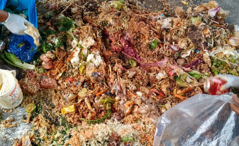 Estudio-de-prefactibilidad-para-un-proyecto-de-biogas-en-el-estado-de-Quintana-Roo