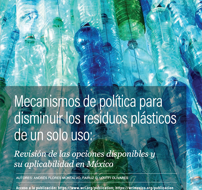 Coordinación del equipo de trabajo y las actividades relacionadas con el proyecto de Economía Circular “Gestión de residuos y plásticos (Fase 1 y 2), análisis y apoyo en la formulación de políticas para la gestión de residuos y economía circular”