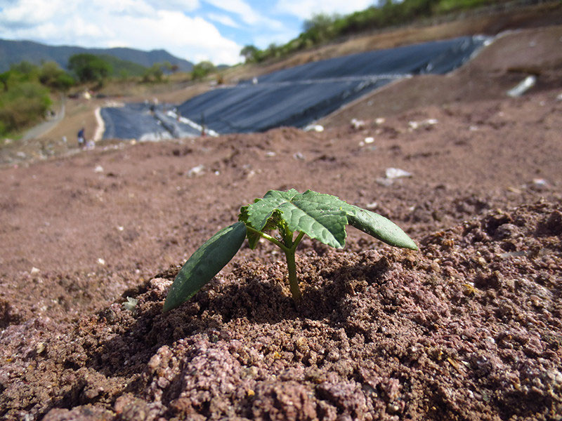 relleno-sanitario-buenavista-de-cuellar-guerrero