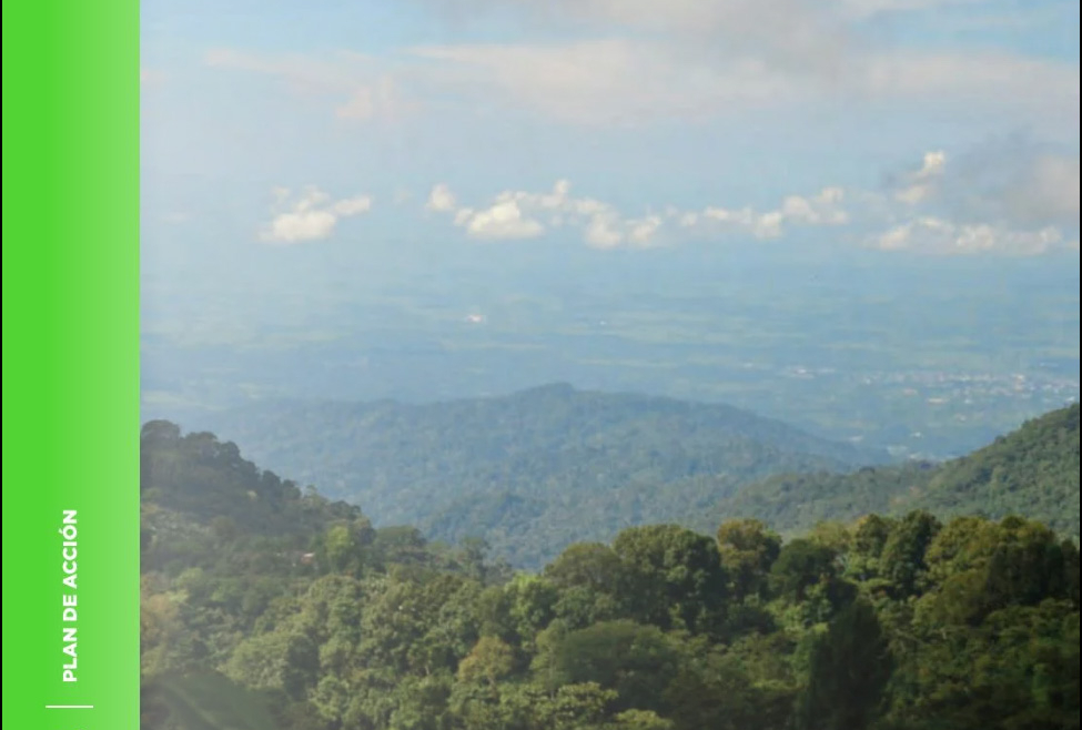 Diagnóstico de los Sectores de Agua, Alcantarillado y Saneamiento en los Municipios de Tapachula, Chiapas y Lázaro Cárdenas, Michoacán para el Programa de Ciudades Emergentes y Sostenibles.