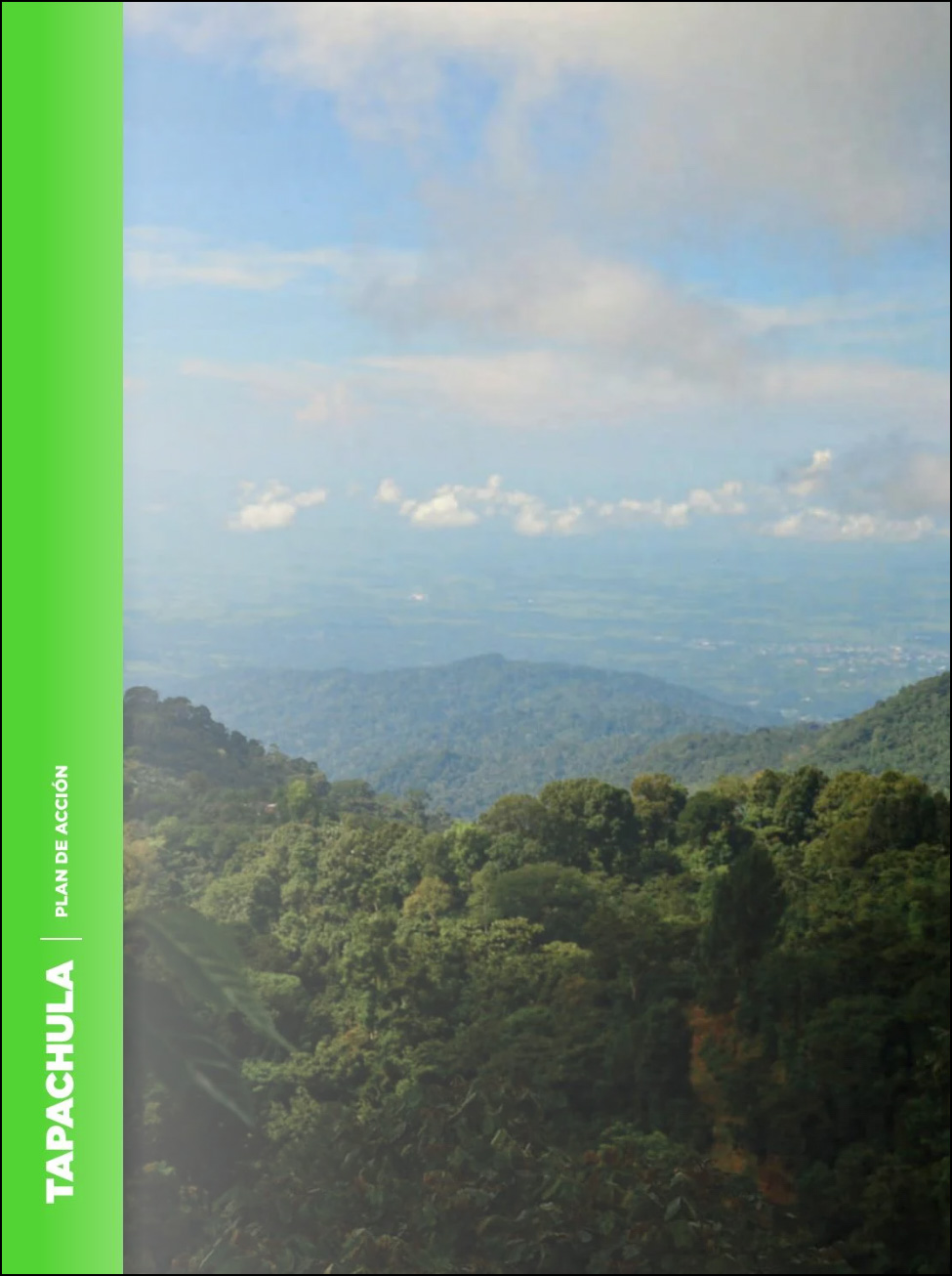 tapachula-plan-de-accion